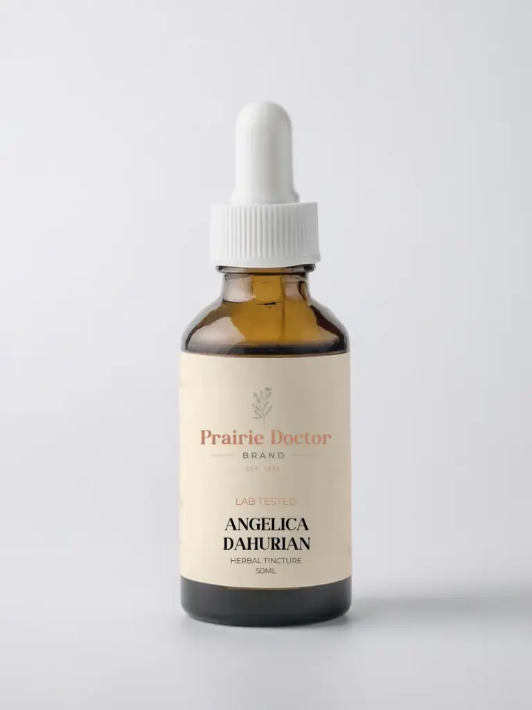 [ANGELDHR50] Angelica Dahurian Tincture (50 mL)